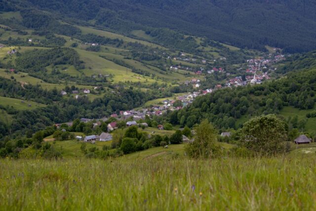 Photo alergării